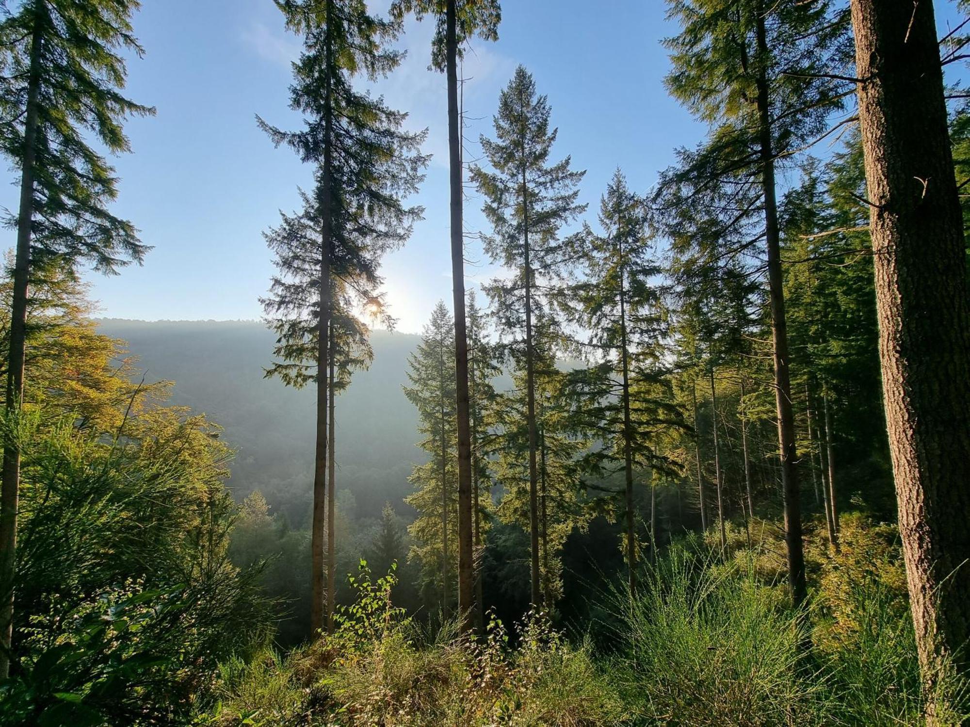 Pfalztraum Fewo'S Bruchweiler-Bärenbach Exterior foto